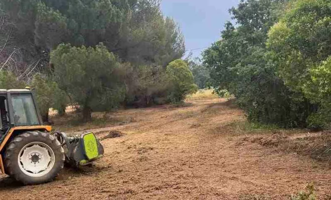 Débroussaillage et sécurisation des terrains, Hyères, QR Paysage