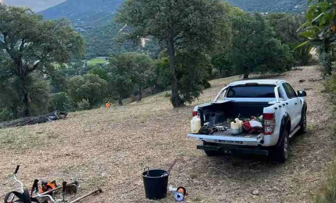 Débroussaillage et sécurisation des terrains, Hyères, QR Paysage